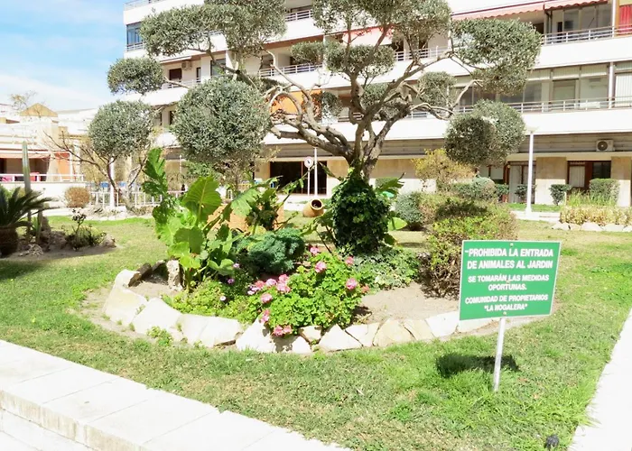 Nogalera Sun&fun Select Apartment *