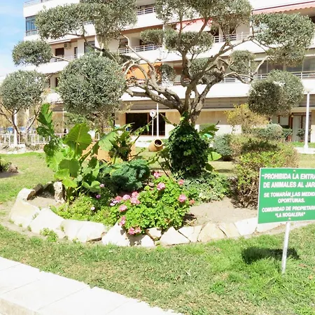 Nogalera Sun&fun Select Apartamento *